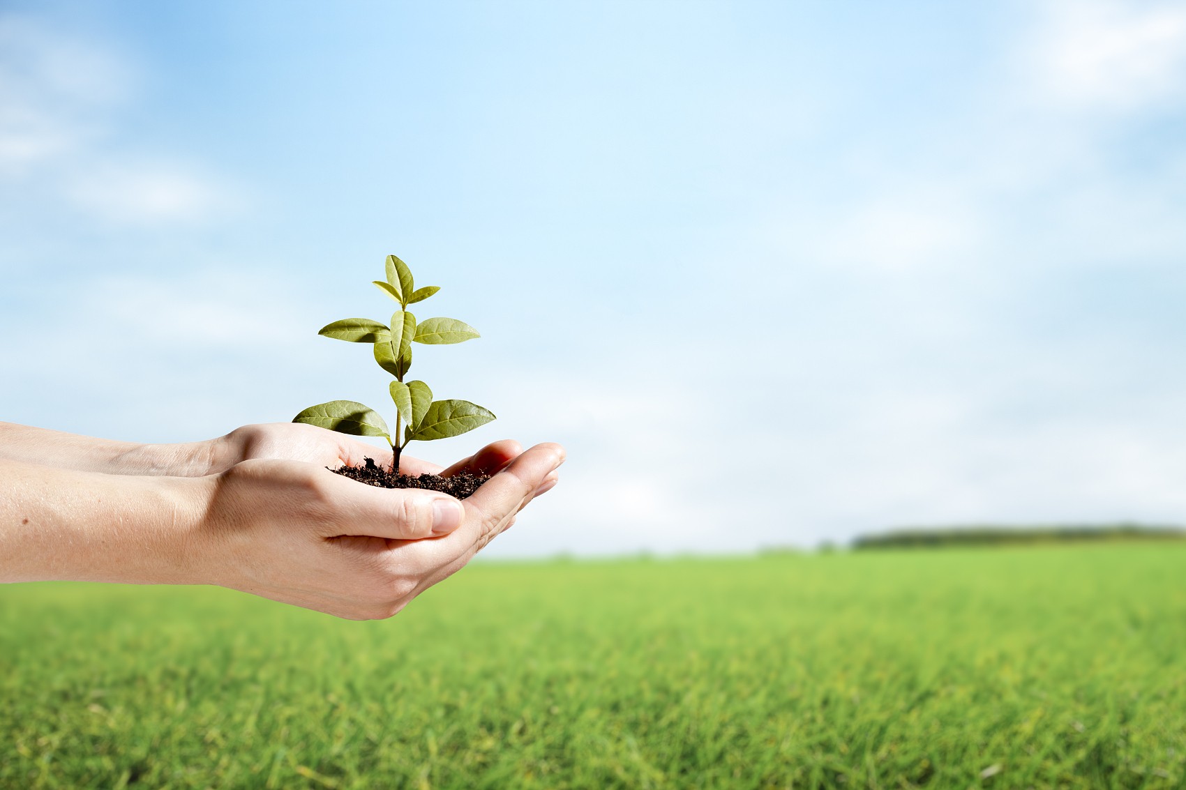 省節(jié)能協(xié)會(huì)袁亮秘書長、遂寧檢測(cè)公司戴云峰總經(jīng)理一行蒞臨天晟源環(huán)保座談交流