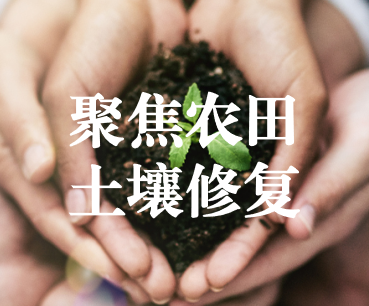 聚焦農(nóng)田土壤修復(fù)，保障糧食產(chǎn)品安全 ——踔厲奮發(fā)、篤行不怠，以奮斗之姿獻(xiàn)禮黨的二十大